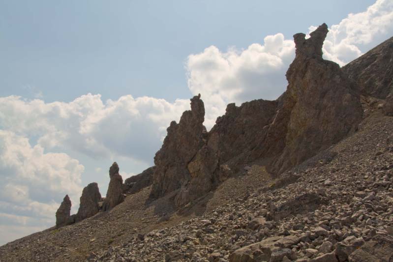 Gargoyles                        