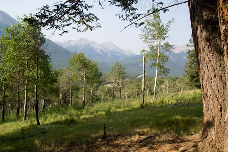Bow Valley                       