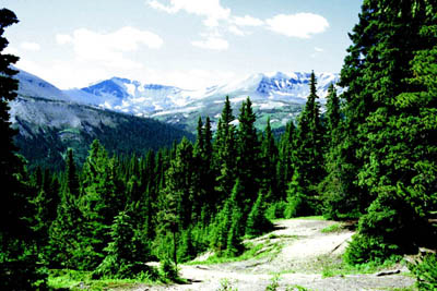 View From Little Shovel Camp

