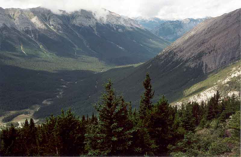 Goat Creek Valley