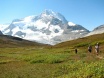 Mount Robson from Snowbird Meadow