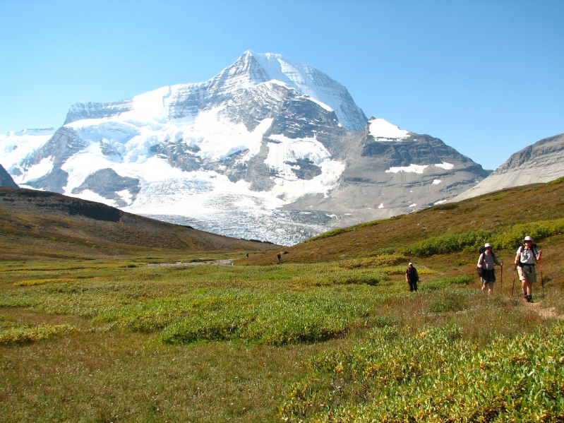 Mount Robson from Snowbird Meadows