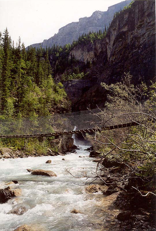 Robson Bridge