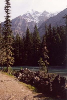 Mount Robson