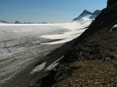 Reef Icefield