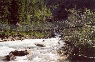 Robson Bridge