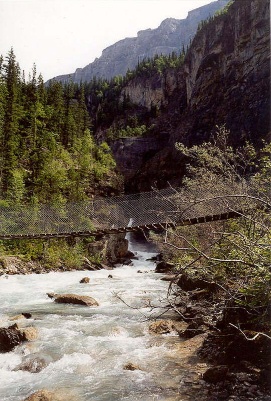 Robson Bridge