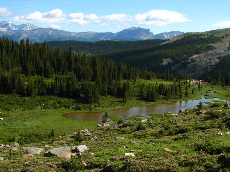 Meadow above the Headwall