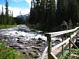 Bridge over Rockingham Creek