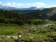 Meadow above the Headwall