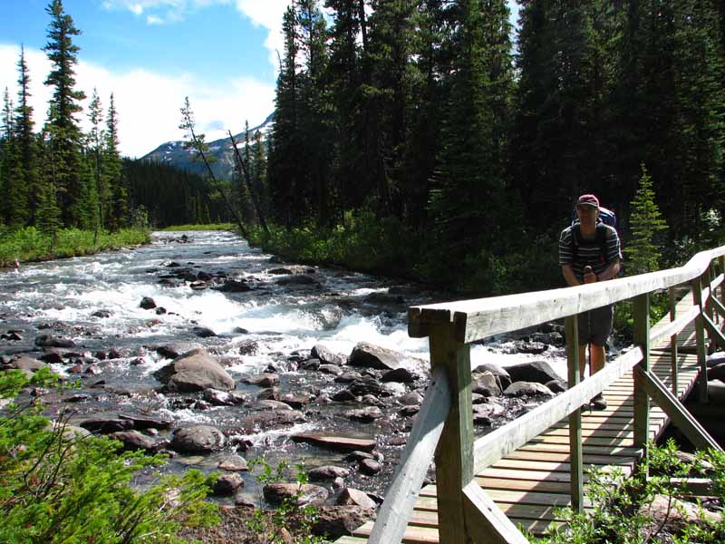 Bridge over Rockingham Creek
