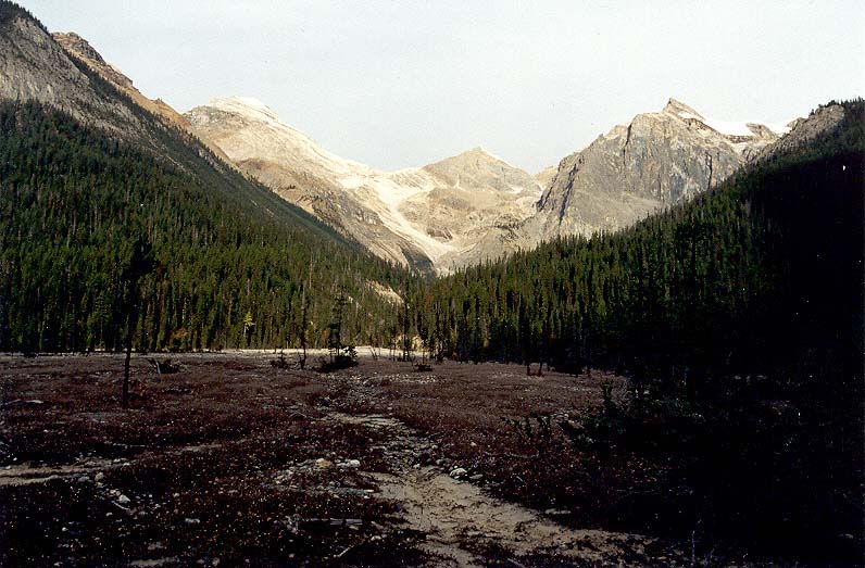 Emerald Basin