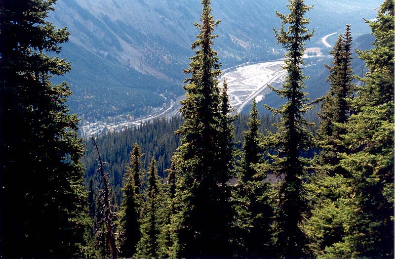 Field from Burgess Pass