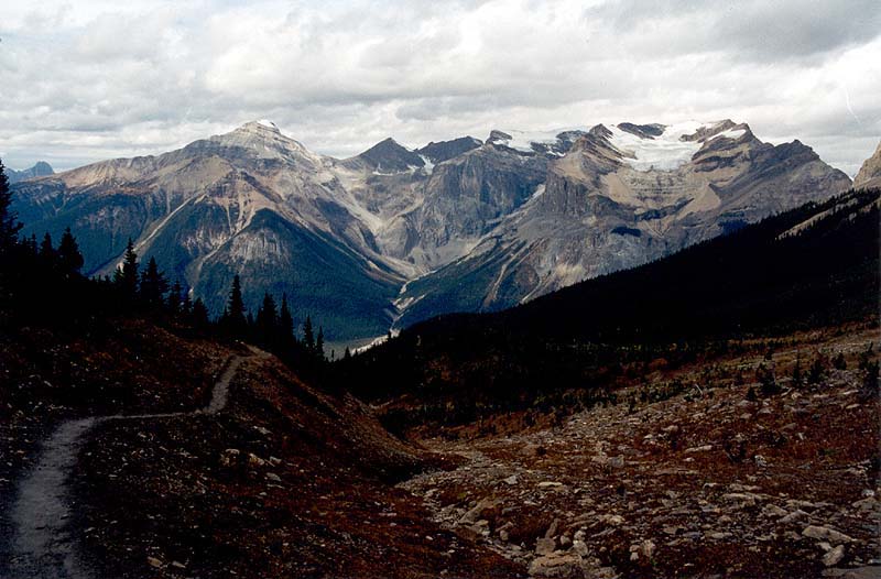 President Range from Burgess Pass Trail