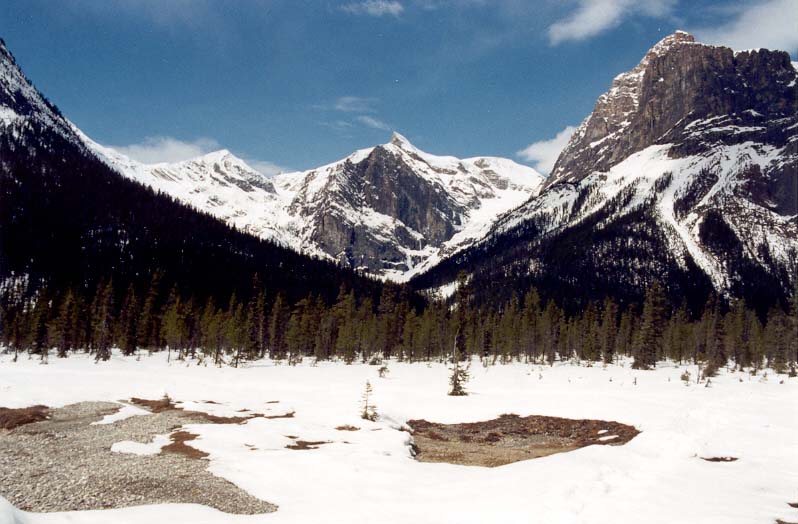 Emerald Basin