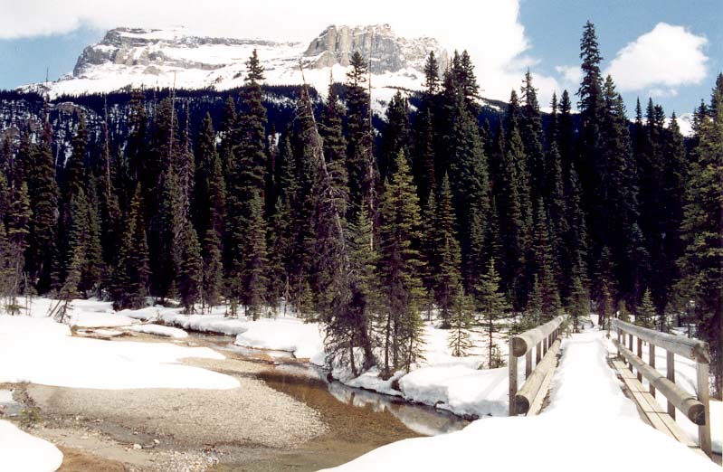 Snow-covered Bridge