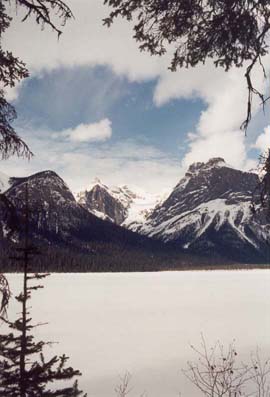 Mount Marpole