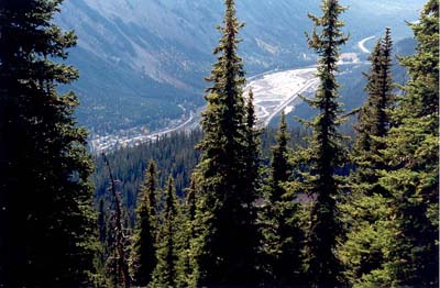 Field from Burgess Pass
