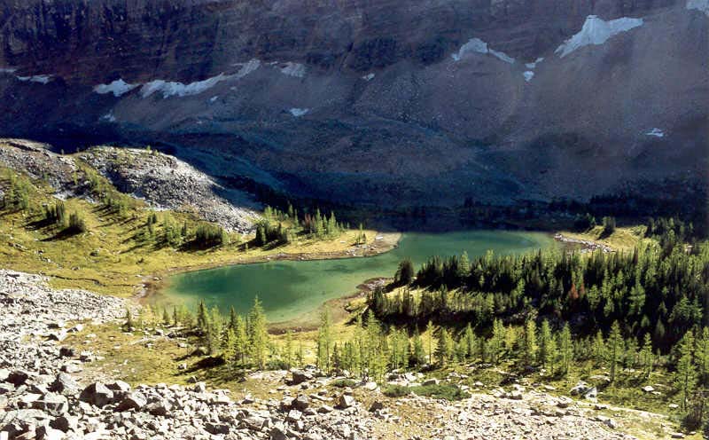 Opabin Plateau and Hungabee Lake
