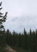 Mountain in the Mist