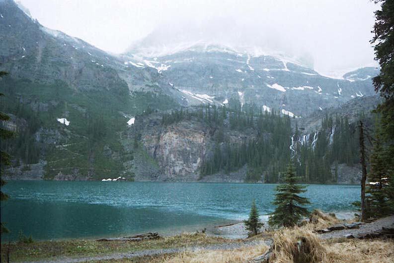 Lake O'Hara in the rain