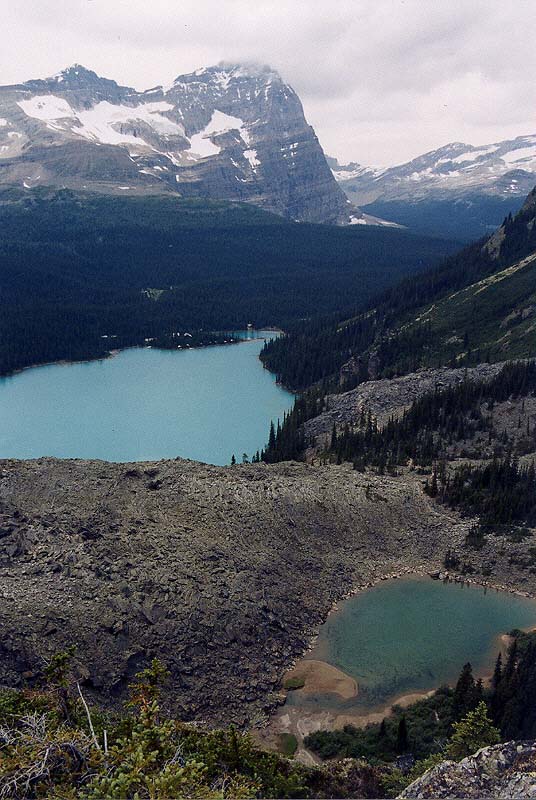 Lake O'Hara and Yukness Lake