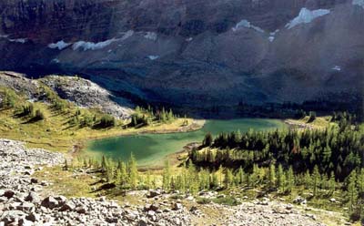 Opabin Plateau and Hungabee Lake