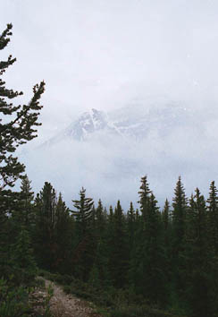 Mountain in the Mist
