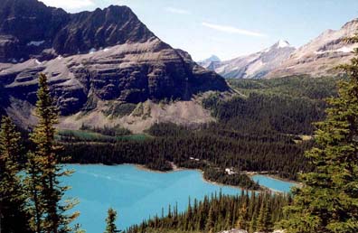 Lake O'Hara from Wiwaxy slope