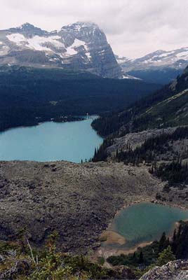 Lake O'Hara and Yukness Lake