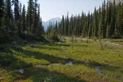 Sherbrooke Meadows           