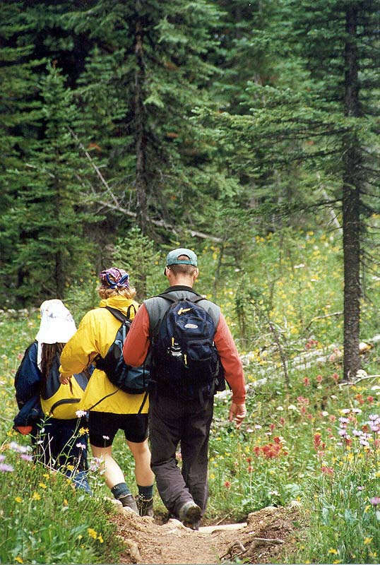 Flower Season on the Little Yoho Trail