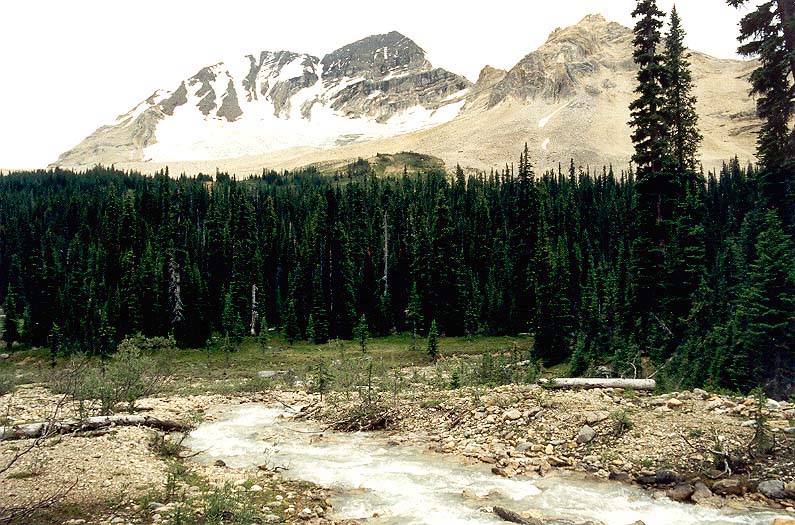 Little Yoho Valley