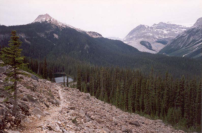 Marpole Lake
