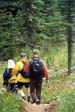 Flower Season on the Little Yoho Trail