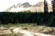 Little Yoho Valley