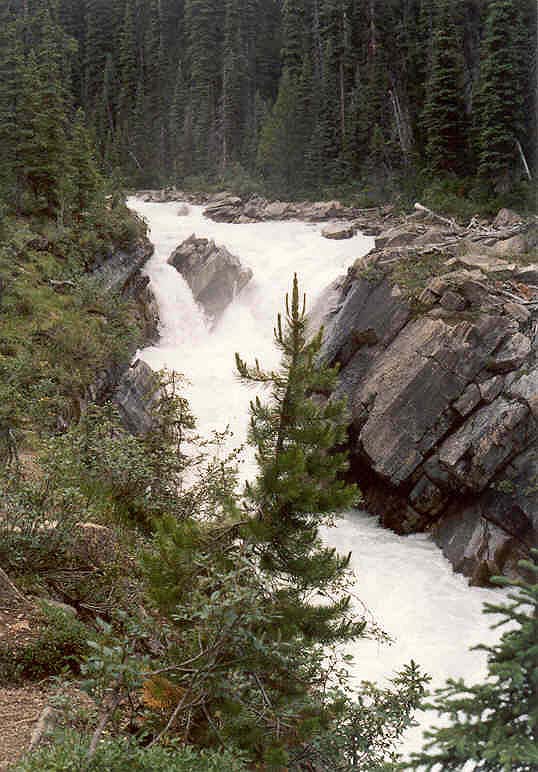 Yoho River