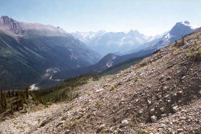 Yoho Valley from Iceline
