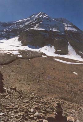 The Vice-President and the Iceline Trail