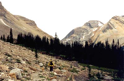 Kiwetinok Pass from the Iceline