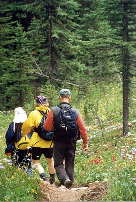 Flower Season on the Little Yoho Trail